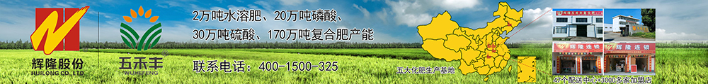 安徽辉隆