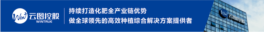 云图控股